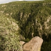 The Cliffs 5